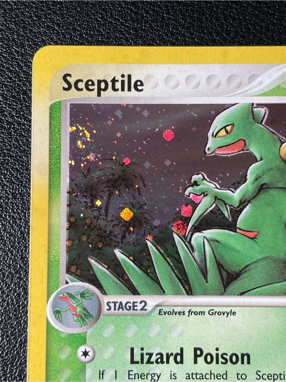 Sceptile #11/Holo/Pokemon Ruby & Sapphire - Picture 2 of 15